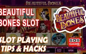 Beautiful Bones