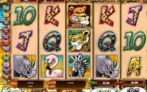 Wild Gambler